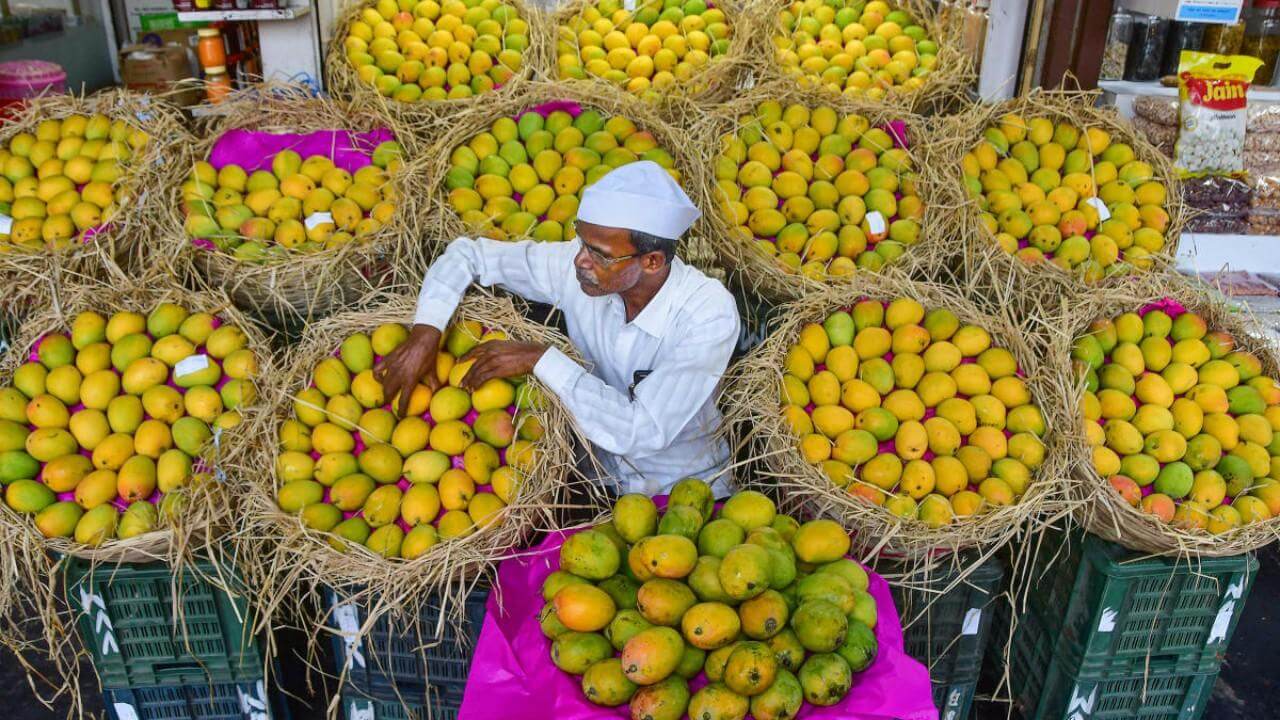 Mankurad mangoes piled in baskets at a Goa market stall