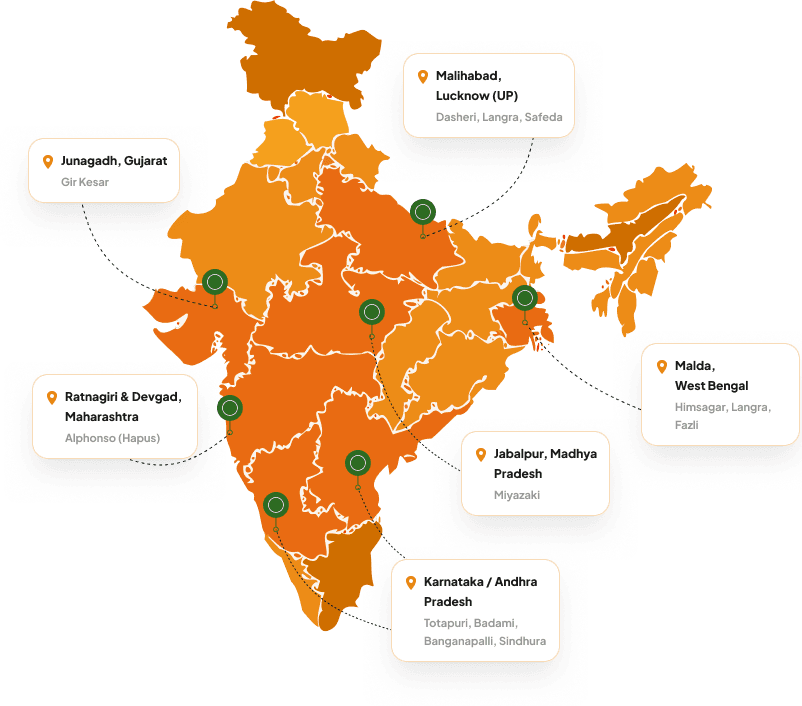 Map of India showing mango sourcing regions